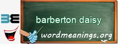 WordMeaning blackboard for barberton daisy